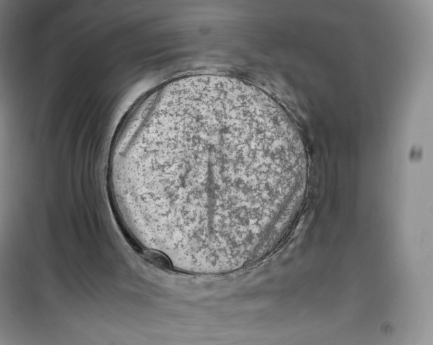 X0000100950003200807221132