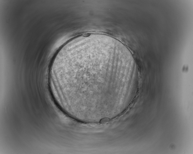 X0000100950005200807221132