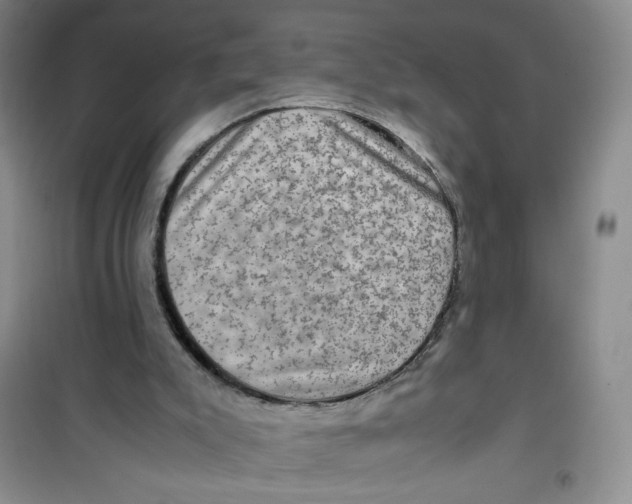 X0000100950007200807221132