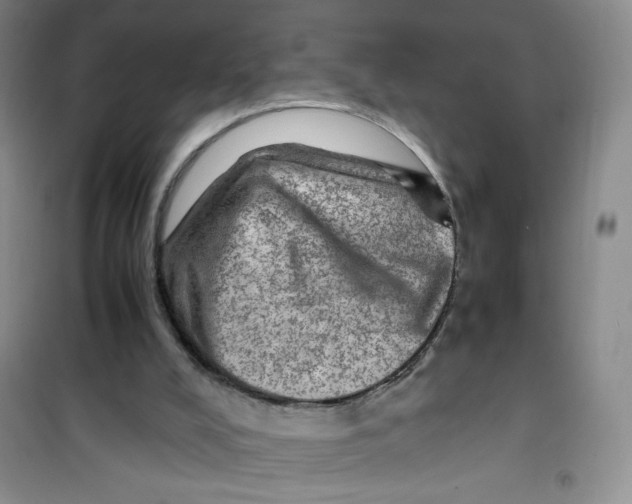 X0000100950008200807221132