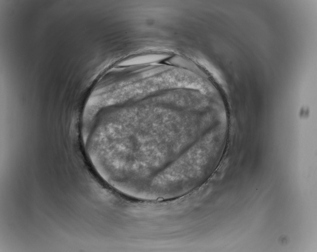 X0000100950009200807221132