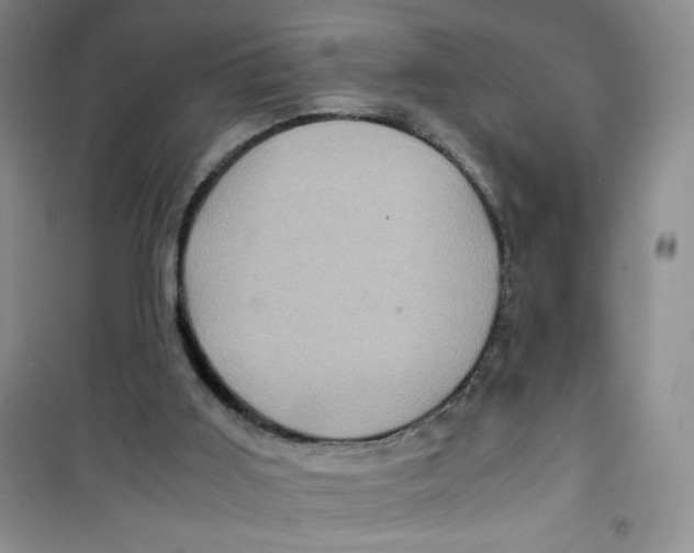 X0000100950011200807221132