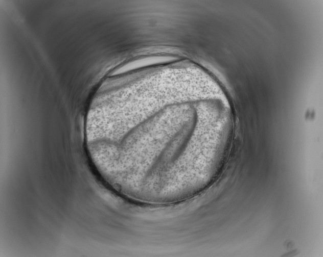 X0000100950013200807221132