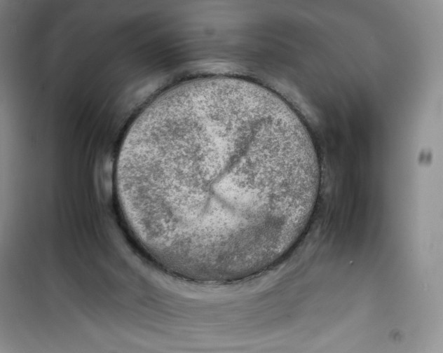 X0000100950014200807221132