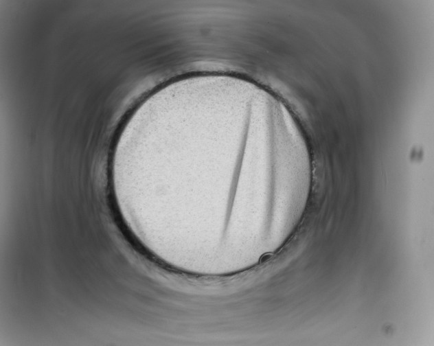 X0000100950015200807221132