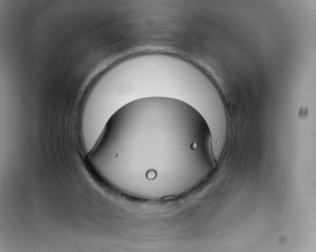 X0000100950016200807221132