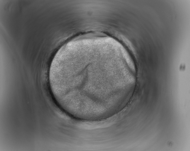 X0000100950017200807221132