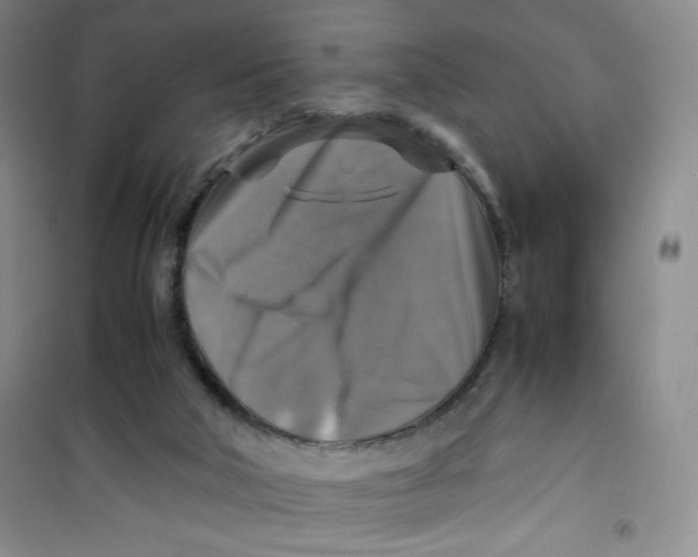 X0000100950018200807221132