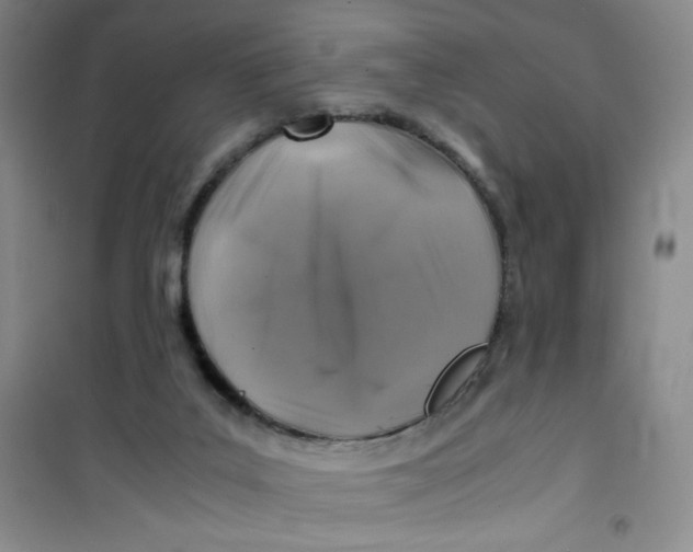 X0000100950019200807221132