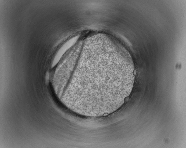 X0000100950020200807221132