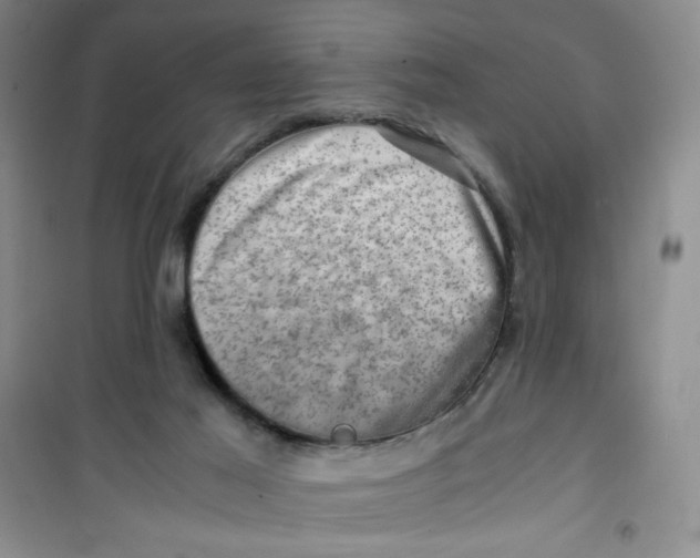 X0000100950021200807221132