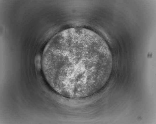 X0000100950022200807221132