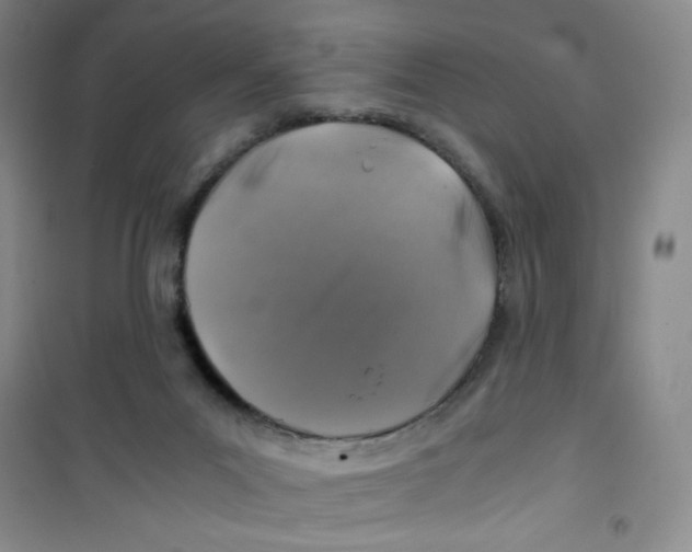 X0000100950023200807221132