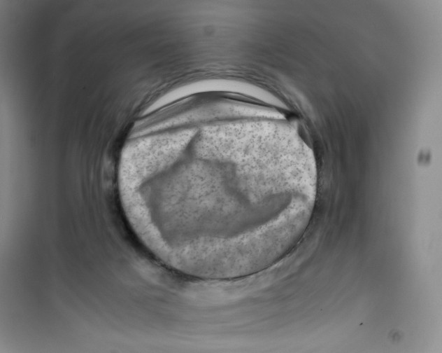 X0000100950025200807221132