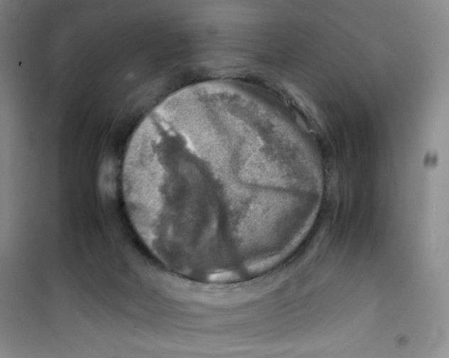 X0000100950026200807221132