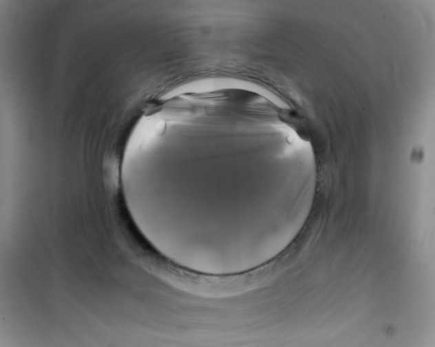 X0000100950027200807221132