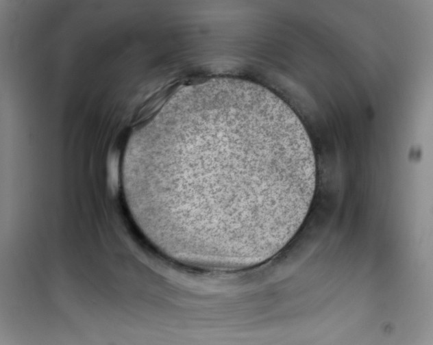 X0000100950028200807221132