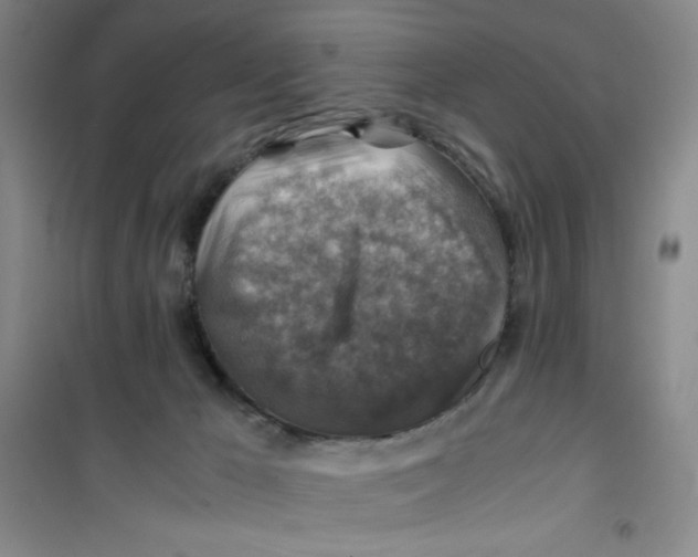 X0000100950029200807221132