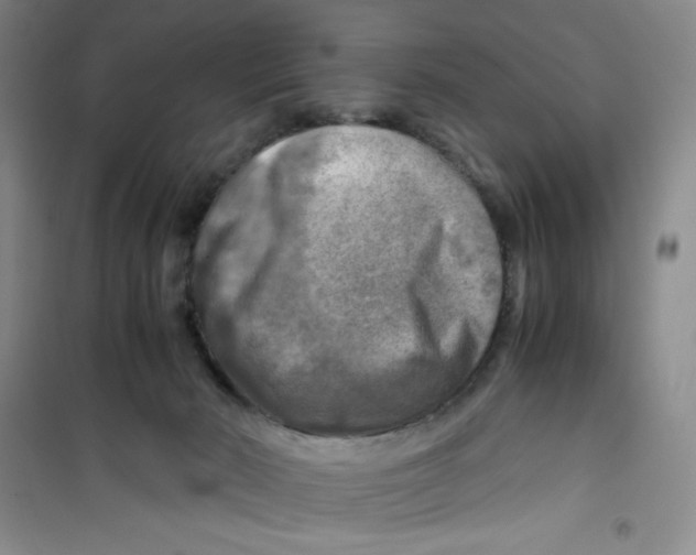 X0000100950030200807221132