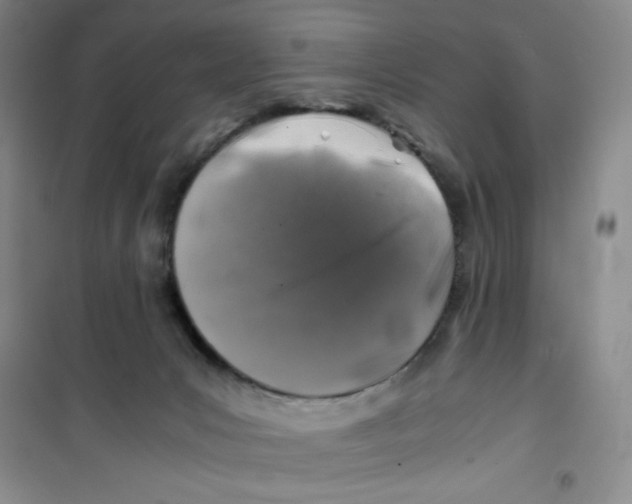 X0000100950031200807221132