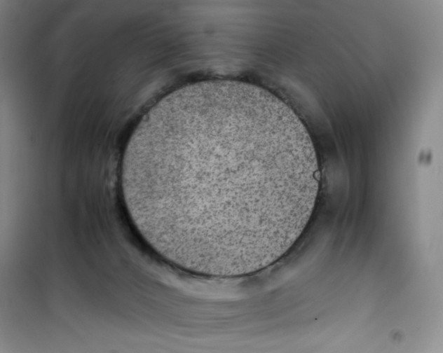 X0000100950032200807221132