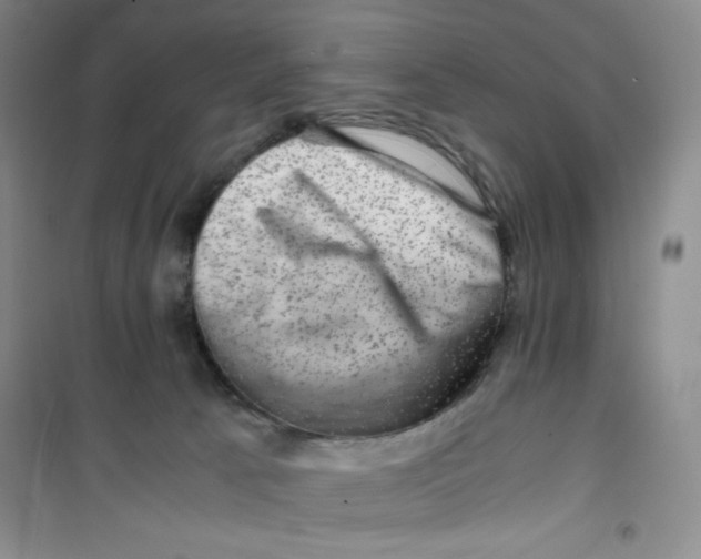 X0000100950033200807221132