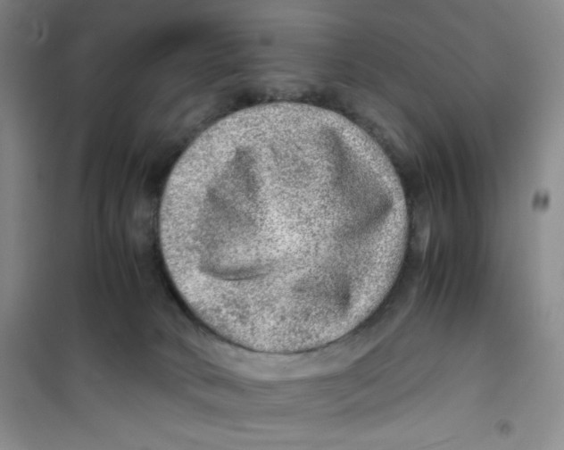 X0000100950034200807221131