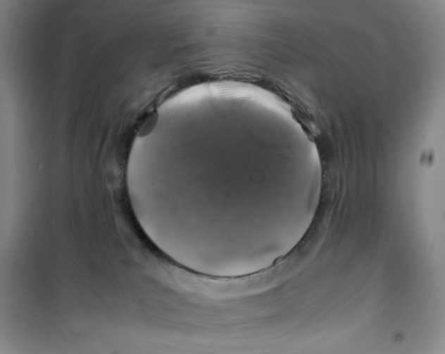 X0000100950039200807221131