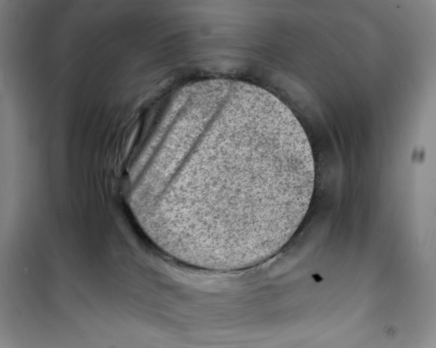 X0000100950040200807221131