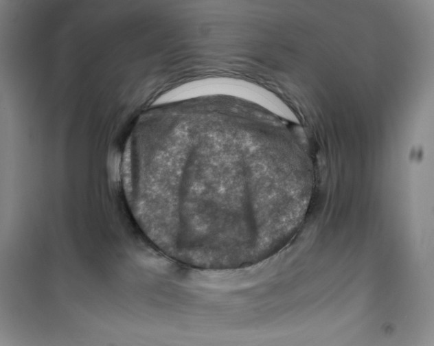 X0000100950041200807221131