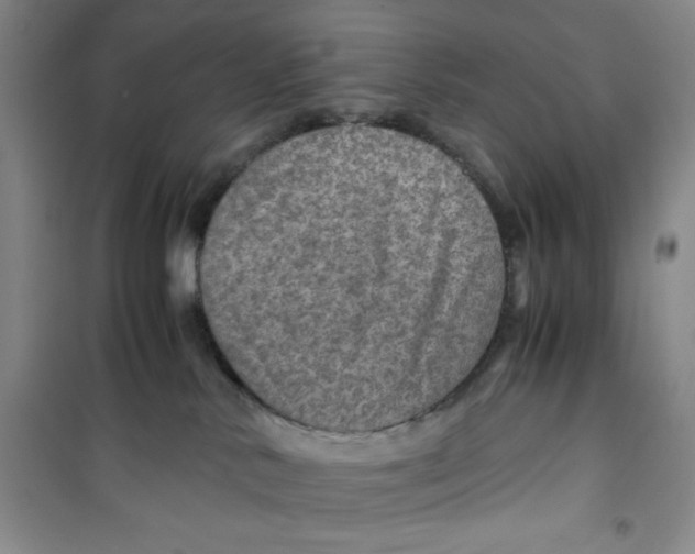 X0000100950042200807221131