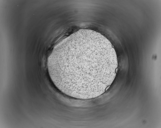 X0000100950044200807221131