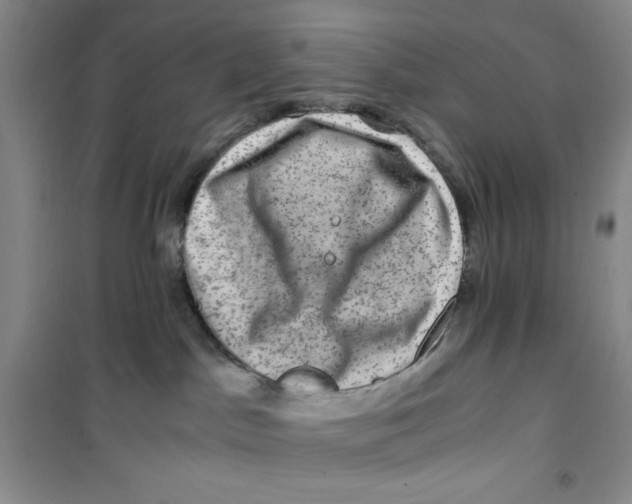 X0000100950045200807221131