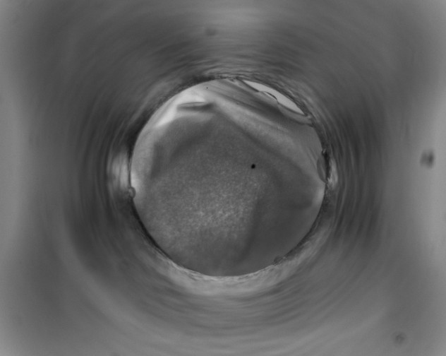 X0000100950046200807221131