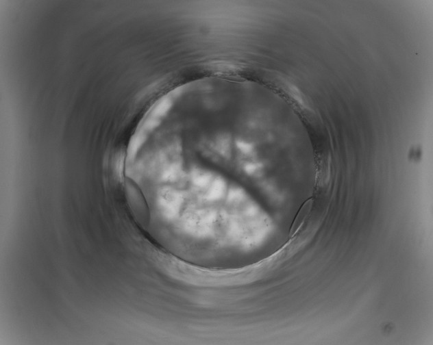 X0000100950047200807221131