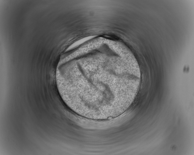 X0000100950048200807221131