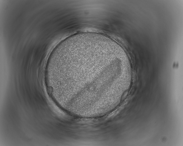 X0000100950049200807221130