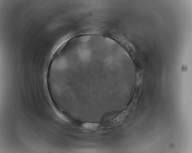 X0000100950051200807221130