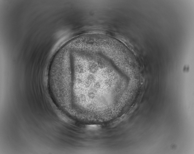 X0000100950053200807221130