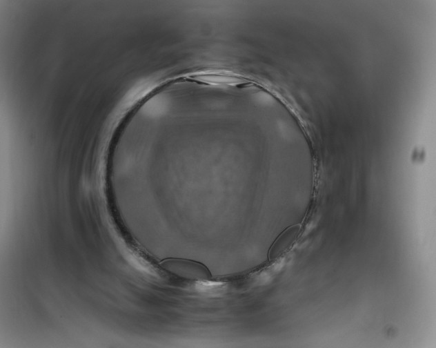 X0000100950055200807221131