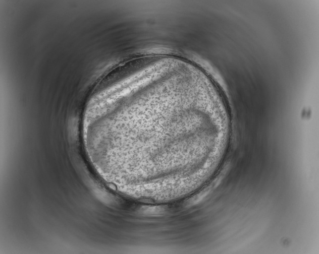 X0000100950057200807221131