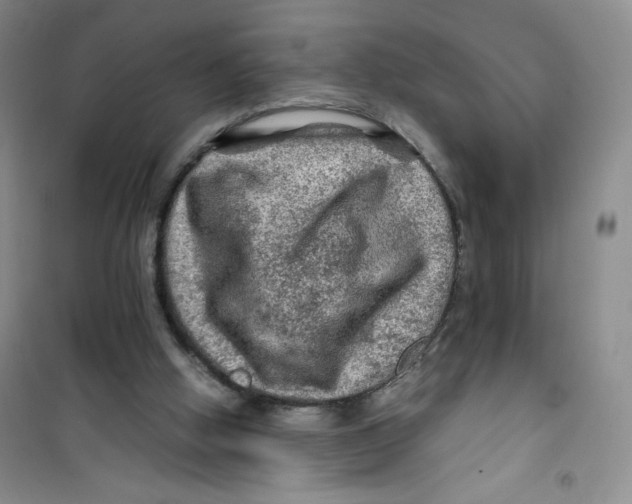 X0000100950058200807221131