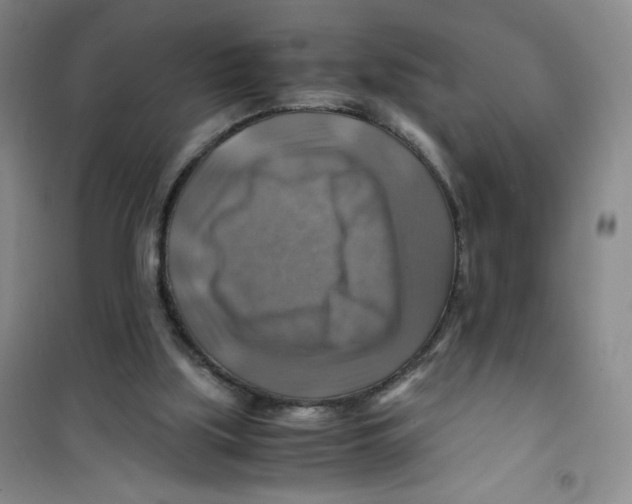 X0000100950059200807221131