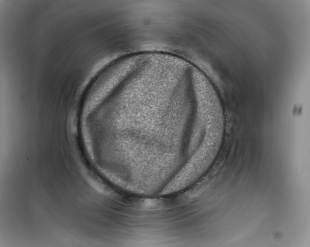 X0000100950060200807221131