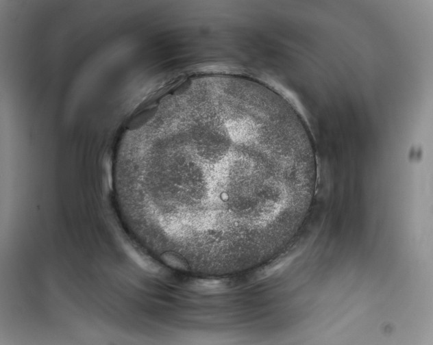 X0000100950061200807221131