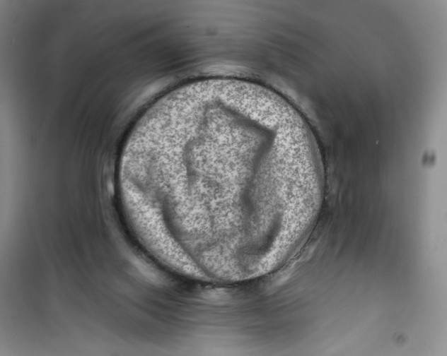 X0000100950062200807221131