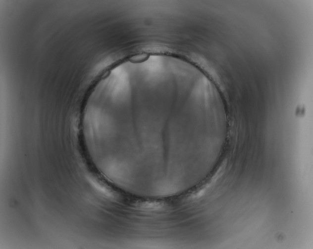 X0000100950063200807221131