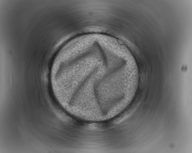 X0000100950064200807221131