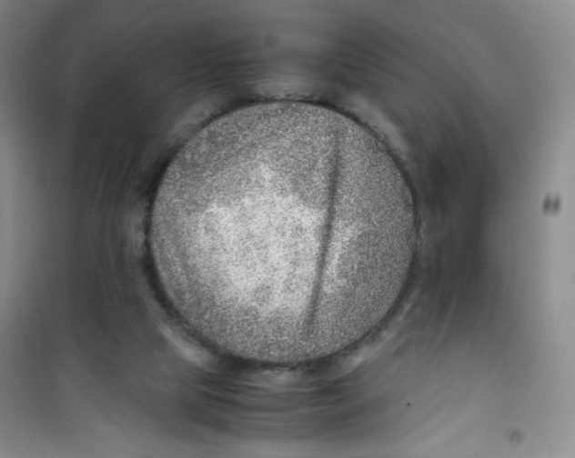 X0000100950065200807221131