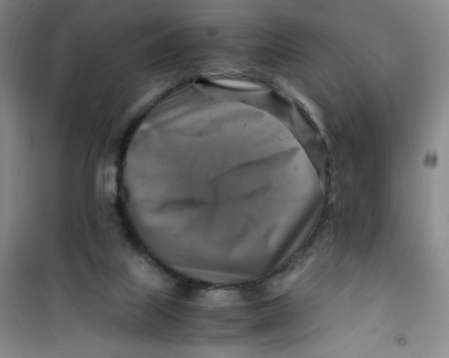 X0000100950067200807221131